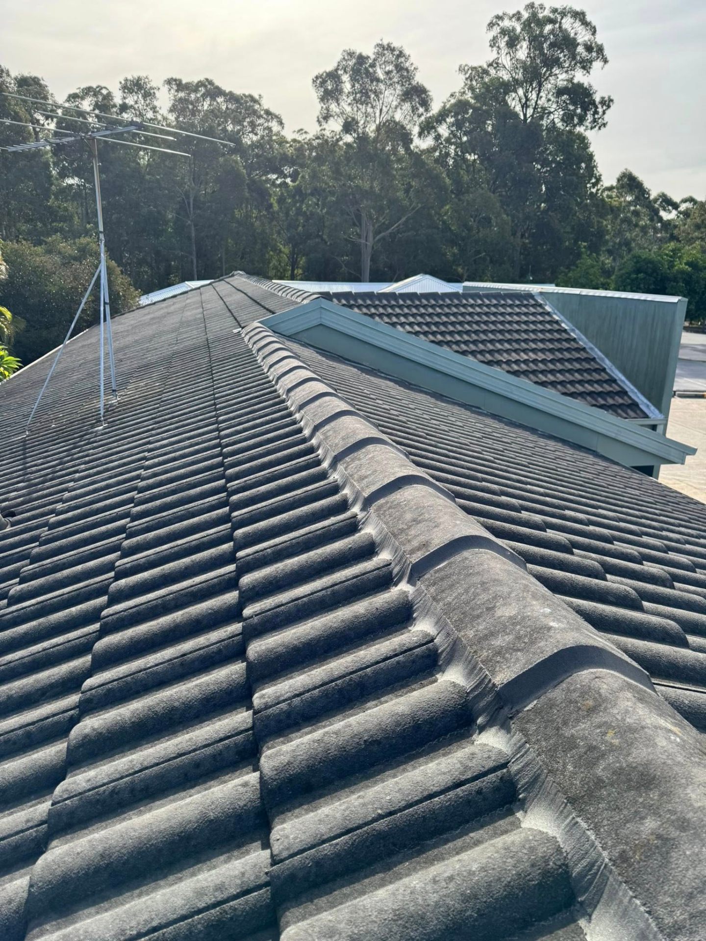 Pointing & Ridge Cap Detail