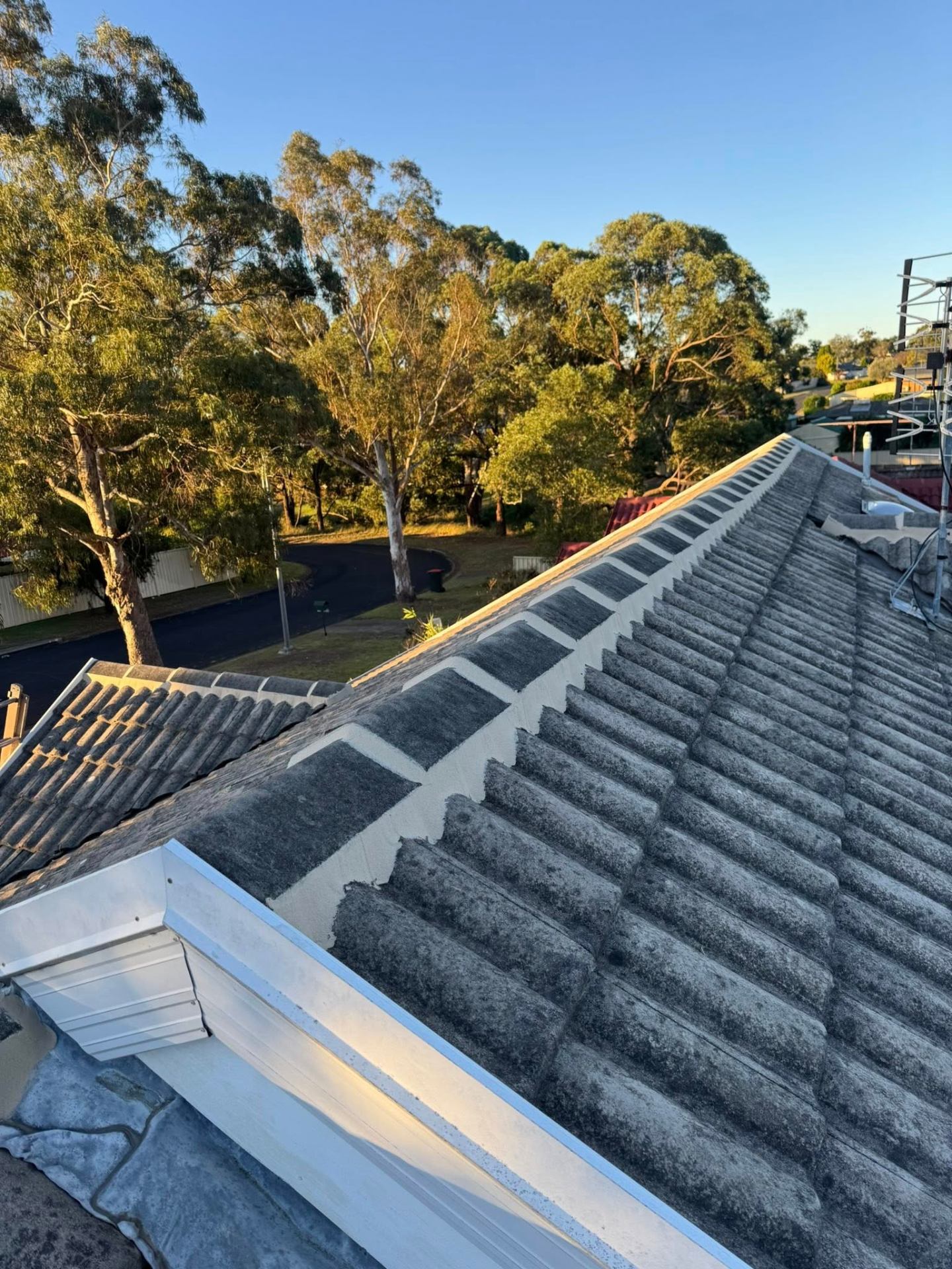 Restored tile roof at golden hour, Hunter Region NSW